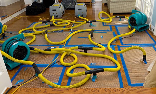 Professional Crawl Space Water Removal technician working in Swan, IA